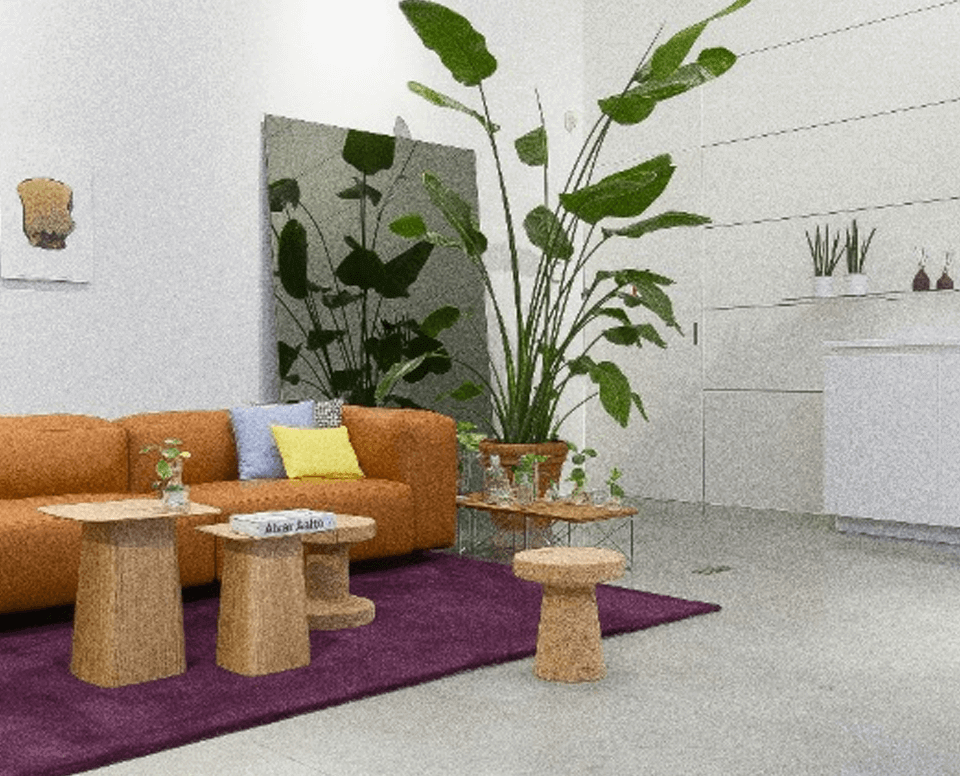 Football & Soccer Betting